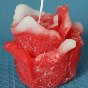 Rose klein rot