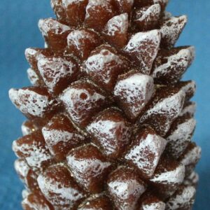 Weihnachtszapfen mit Schnee