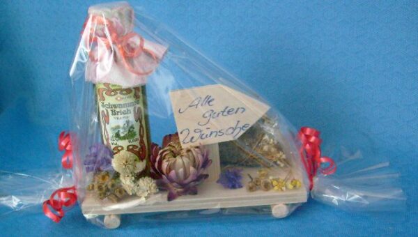 Geschenk Alle guten Wünsche